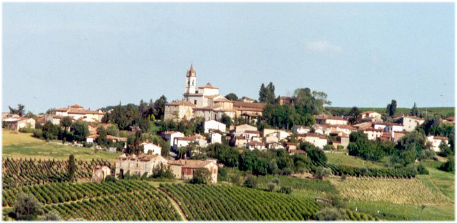 Vicobarone3